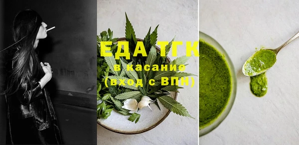 хмурый Алексин