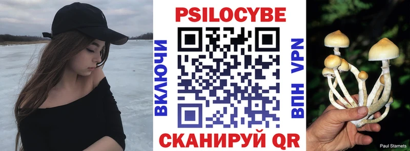 Псилоцибиновые грибы GOLDEN TEACHER  Западная Двина 